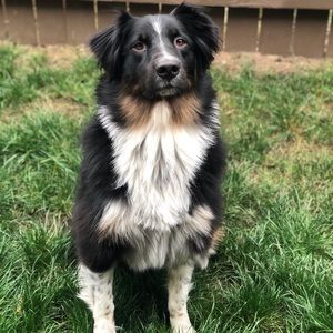 Meet your Posher, Becka